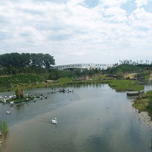 Boat safari - Area with pelicans, flamingos and cormorants (Now gone), 2007-07-15