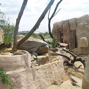 Meerkat exhibit, 2007-07-15