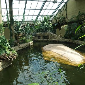 Largest hippopotamus indoor exhibit, 2007-07-15