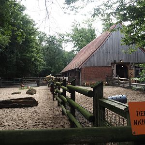 Grimberger Hof farm area -Husumer red pied pig paddocks and stable , 2024-08-05