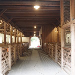 Grimberger Hof farm area - Domestic animal stables, 2024-08-05