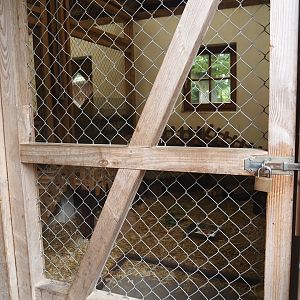 Grimberger Hof farm area - Domestic guinea pig indoor exhibit, 2024-08-05