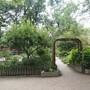 Grimberger Hof farm area - Bauerngarten/Farm garden, 2024-08-05