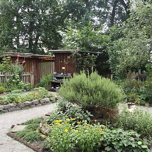 Grimberger Hof farm area - Bauerngarten/Farm garden, 2024-08-05