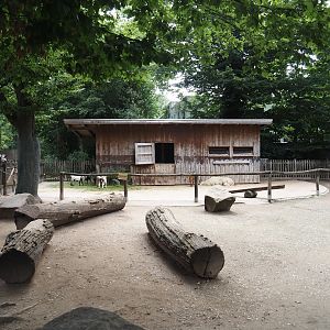 Grimberger Hof farm area - Petting zoo paddock, 2024-08-05