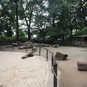 Grimberger Hof farm area - Petting zoo paddock, 2024-08-05