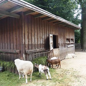 Grimberger Hof farm area - Goat and sheep barn, 2024-08-05