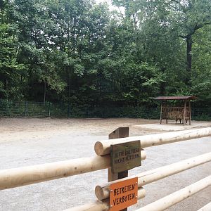 Grimberger Hof farm area - Hinterwald cattle paddock, 2024-08-05