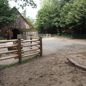 Grimberger Hof farm area - Hinterwald cattle paddock, 2024-08-05