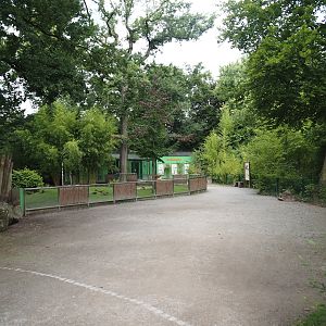 Tortoise garden area with African spurred tortoises, 2024-08-05