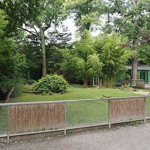 Tortoise garden - African spurred tortoise paddock, 2024-08-05