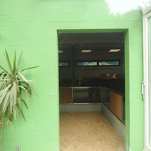 Tortoise garden - African spurred tortoise house, 2024-08-05