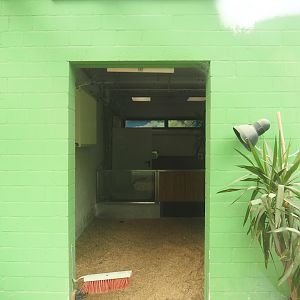 Tortoise garden - African spurred tortoise house, 2024-08-05