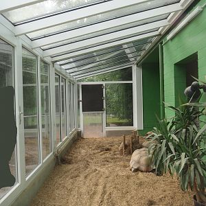 Tortoise garden - African spurred tortoise house, 2024-08-05