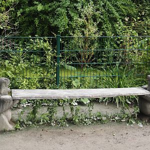 Tortoise bench, 2024-08-05