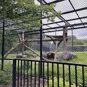 snow leopard enclosure