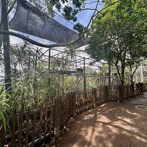 Front of Bolivian Squirrel Monkey Exhibit