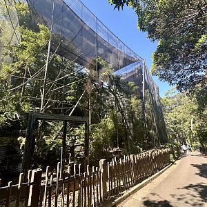 Rear of Bolivian Squirrel Monkey Exhibit