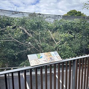 Wetland Aviary (View from Elephants)