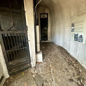 Historic Bear Dens (Interior)