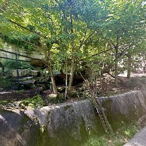 Nepalese Red Panda Exhibit