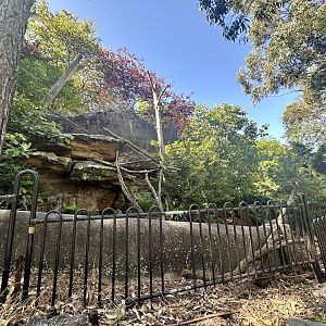 Nepalese Red Panda Exhibit