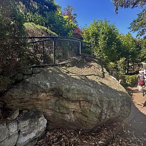 Elevated View Point - Nepalese Red Panda Exhibit
