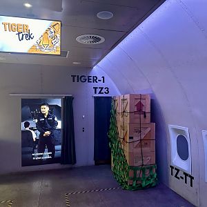 Tiger Trek - Plane (Interior)
