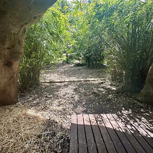 Tiger Trek - Waterfall Exhibit