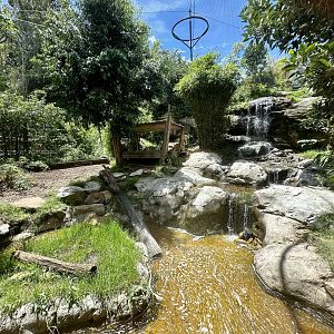 Tiger Trek - Waterfall Exhibit
