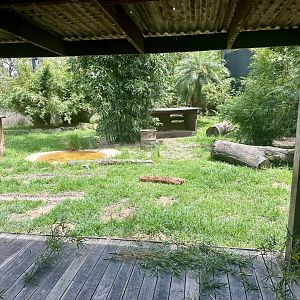 Tiger Trek - Ranger Station Exhibit