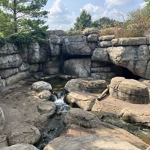 Fortress of the Bears - Grizzly Bear Exhibit #1