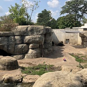 Fortress of the Bears - Grizzly Bear Exhibit #1