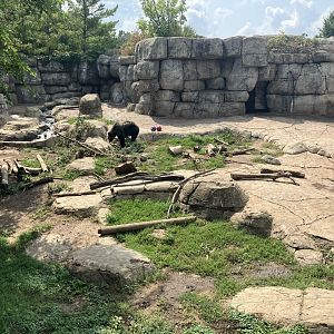 Fortress of the Bears - Grizzly Bear Exhibit #1