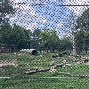 Fortress of the Bears - Grizzly Bear Exhibit #2