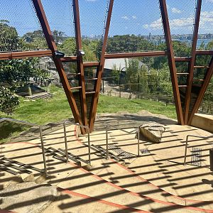 African Lion Exhibit