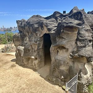 Historic Giraffe House