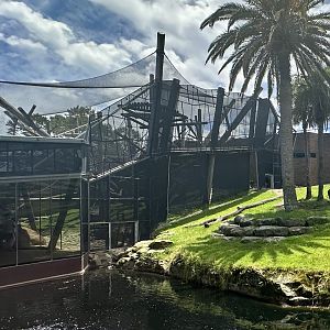 Chimpanzee Park - Netted Exhibit