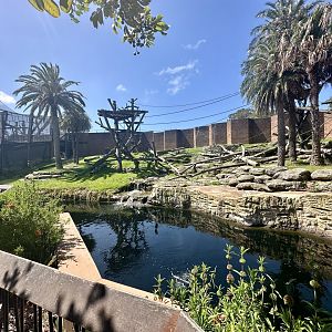 Chimpanzee Park - Main Exhibit