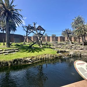 Chimpanzee Park - Main Exhibit