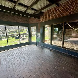 Chimpanzee Park - Viewing Room