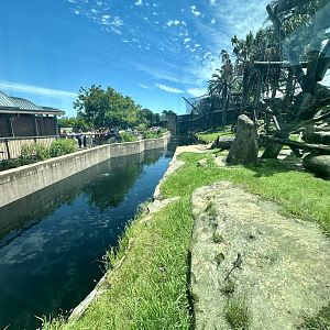 Chimpanzee Park - Viewing Window
