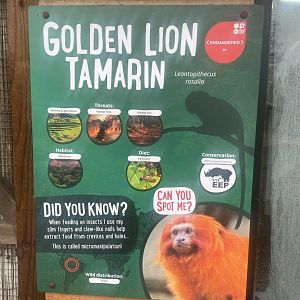 New Golden Lion Tamarin Signage