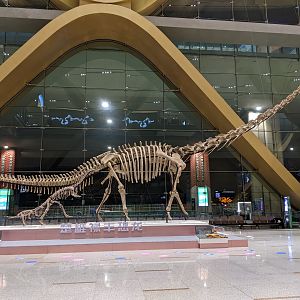 Dinosaurs at Kunming airport