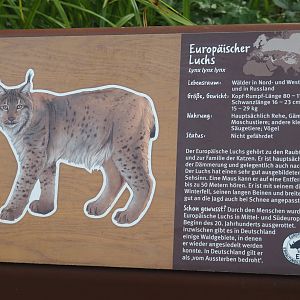 Example of signage - Eurasian lynx, 2024-08-05