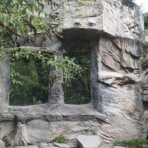 Eurasian lynx exhibit viewing window, 2024-08-05