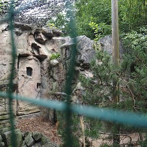Snowy owl aviary, 2024-08-05