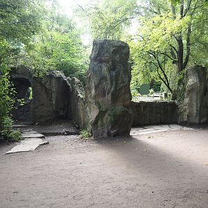 Raccoon exhibit, 2024-08-05