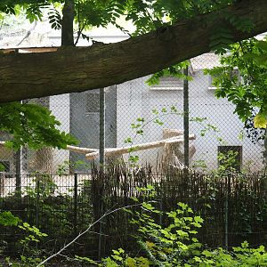 Spare exhibit near the snowy owl aviary, 2024-08-05