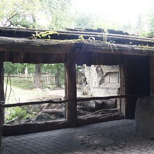 Eurasian moose viewing area, 2024-08-05